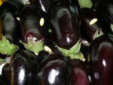Eggplant "Hamama"
