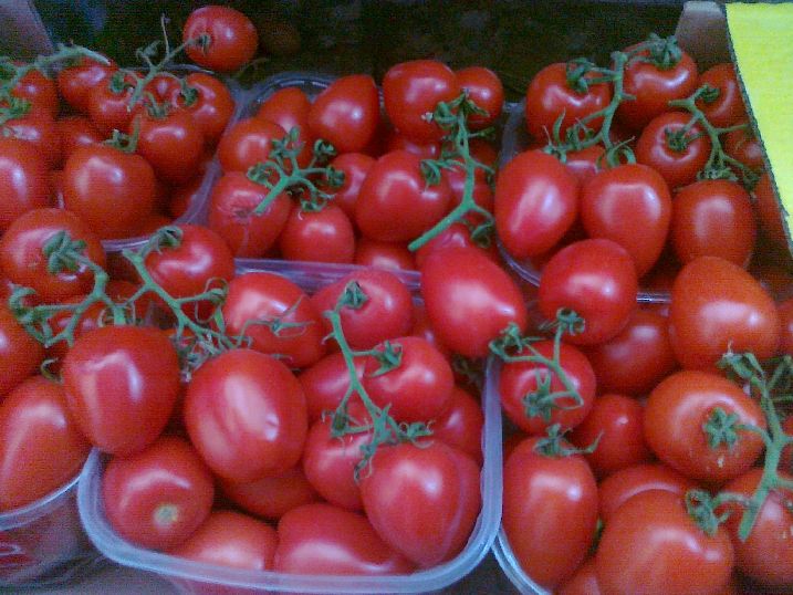 Cherry Tomatoes "Tamar"