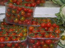 Cherry Tomatoes - clustered