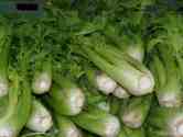 Celery (price per unit)