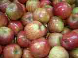 Apples - "Hermon"