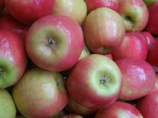Apples - "Pink Lady"